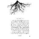 nudo-de-raices-de-javier-martos-y-jesus-gordillo (2).webp