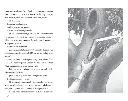 el-estrecho-sendero-entre-deseos-edicion-especial-limitada 1.webp