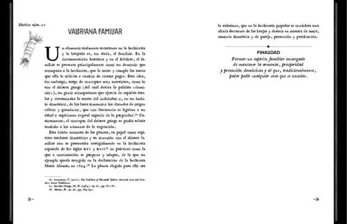 978840242692_04.webp