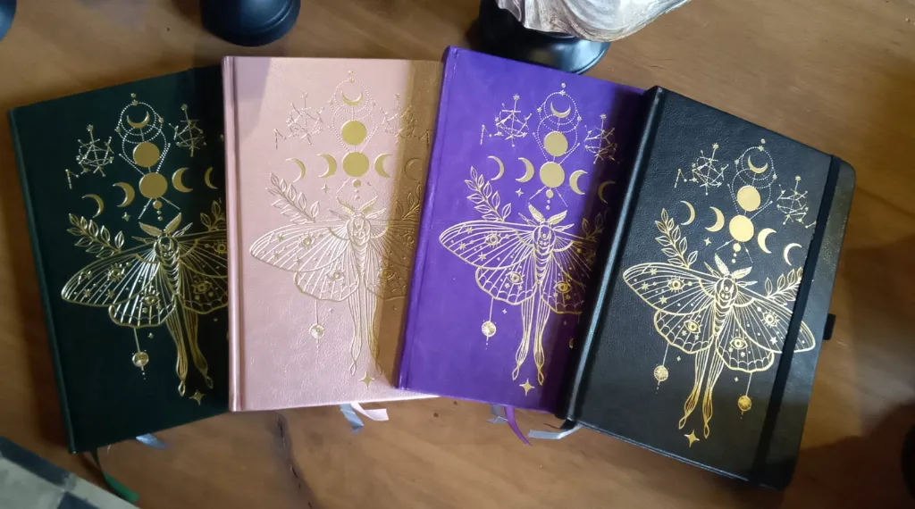 WhatsApp Image 2026-03-19 at 11.02.45.webp